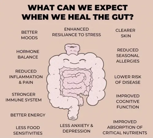 natural gut health solution